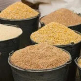 Feed-additive-openPR.com_