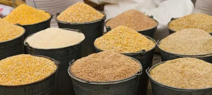 Feed-additive-openPR.com_