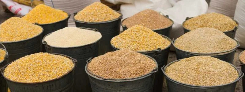 Feed-additive-openPR.com_